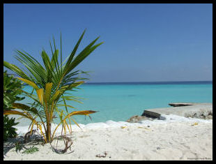 maldives4