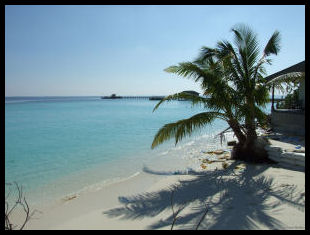 maldives5